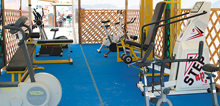 palestra ombreggiata in pensione igea marina