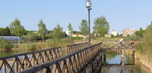 Oasi naturali a Bellaria Igea Marina